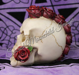 Skull With Rose Mohawk