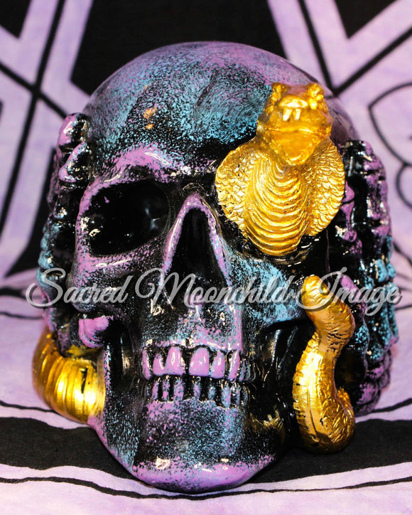 Marble Skull With Gold Snake