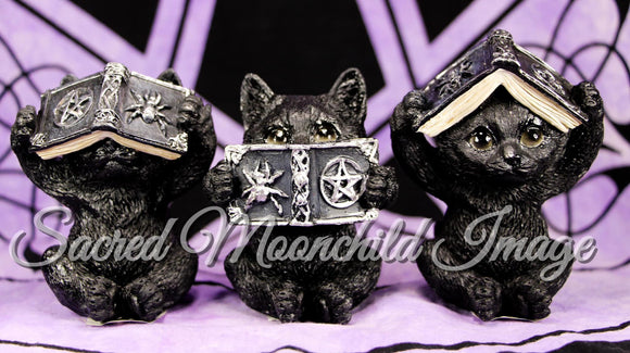 Black Wise Cats With Spellbook