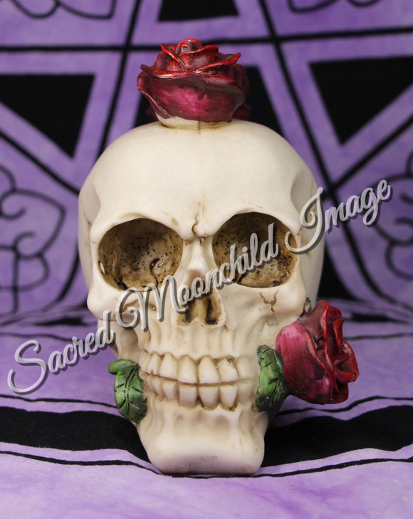 Skull With Rose Mohawk