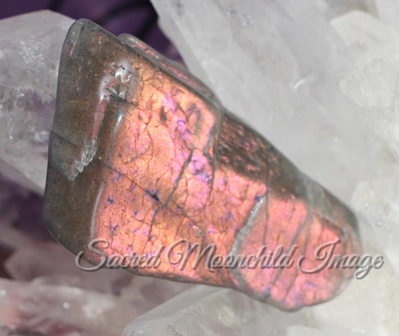 Pink Labradorite Crystal Freeform